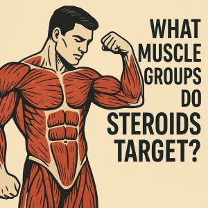 Illustration of a muscular man flexing with red-highlighted muscle groups and bold text reading “What Muscle Groups Do Steroids Target?”